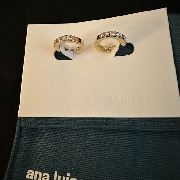 Ana Luisa Medium Suzanne Huggies Earrings - Picture 8 of 10